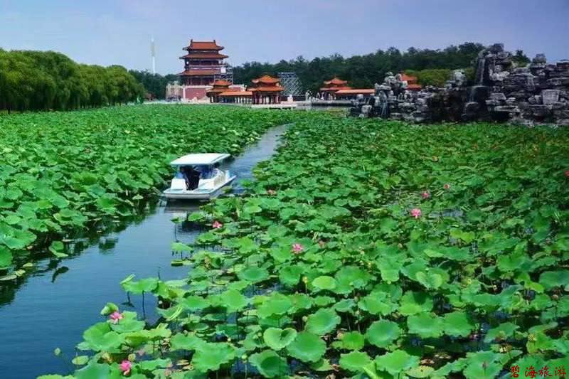 南戴河国际娱乐中心-NanYuu Resort